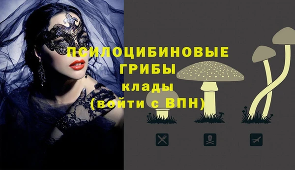 ГАЛЛЮЦИНОГЕННЫЕ ГРИБЫ Соликамск