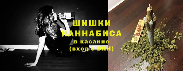 бошки Тында