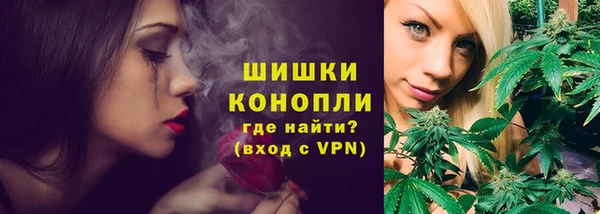 бошки Тында