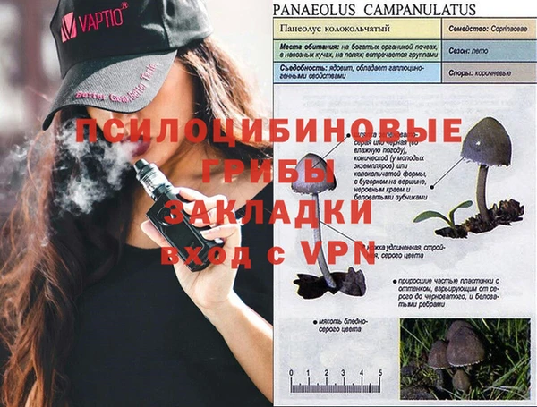 первитин Солнечногорск