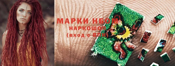 бошки Тында