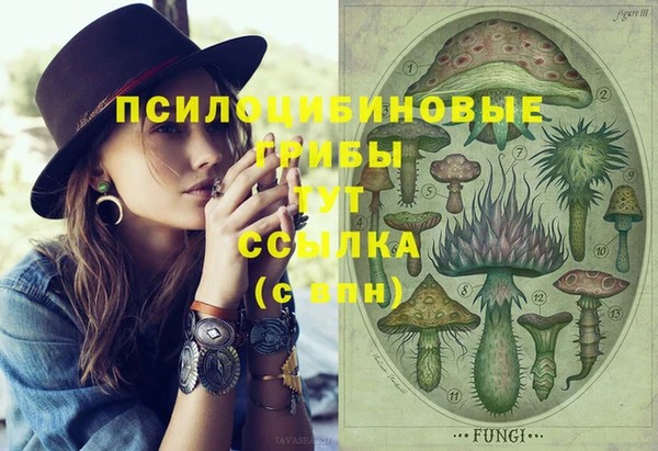 метамфетамин Туринск