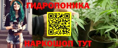 крисы Камышлов