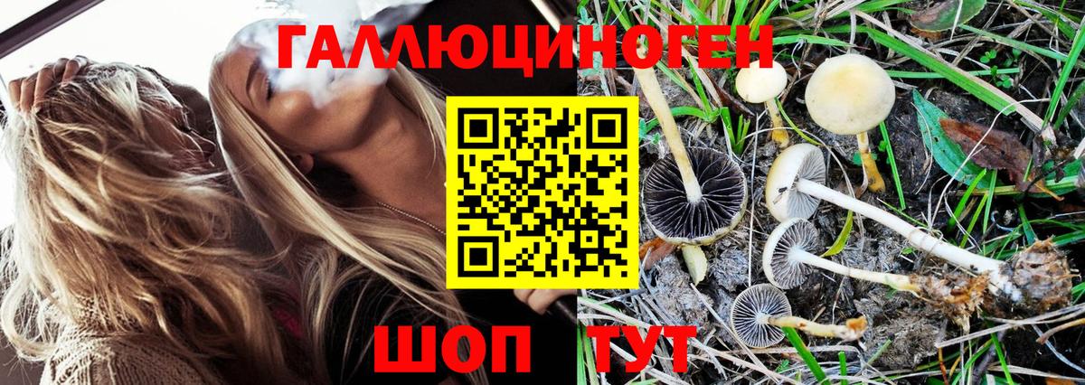 Галлюциногенные грибы GOLDEN TEACHER Чебаркуль